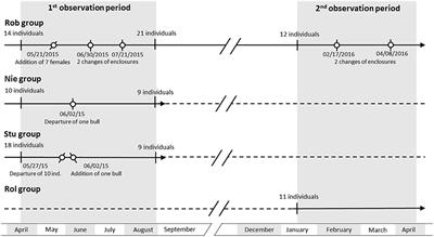 Impact of Group Management and Transfer on Individual Sociality in Highland Cattle (Bos taurus)